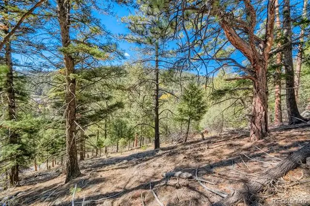 Elsie Road Conifer, CO 80433