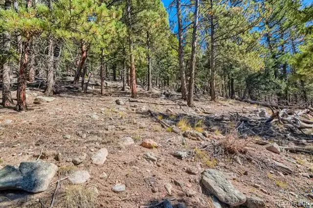 Elsie Road Conifer, CO 80433