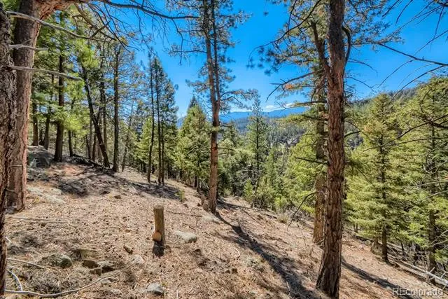 Elsie Road Conifer, CO 80433