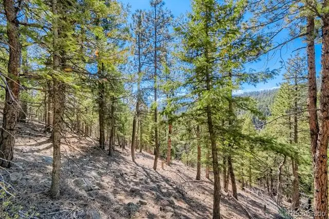 Elsie Road Conifer, CO 80433