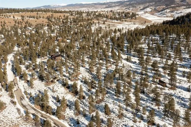 6 Ross Drive Granite, CO 81228