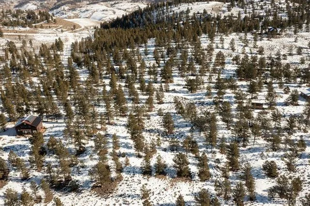6 Ross Drive Granite, CO 81228
