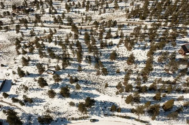 6 Ross Drive Granite, CO 81228