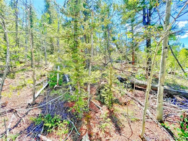 224 Apache Trail Como, CO 80456