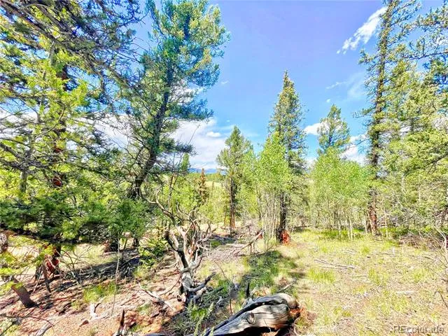 224 Apache Trail Como, CO 80456