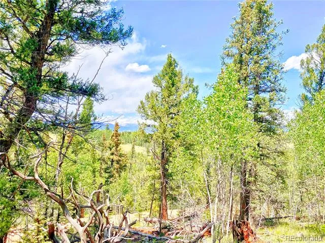 224 Apache Trail Como, CO 80456