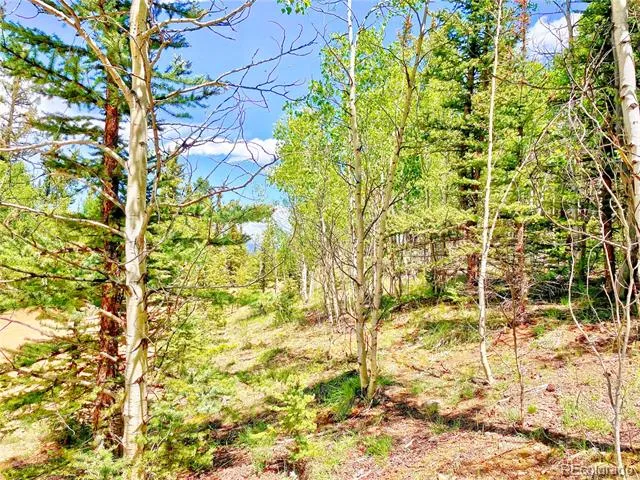 224 Apache Trail Como, CO 80456