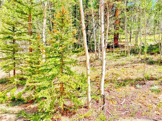 224 Apache Trail Como, CO 80456