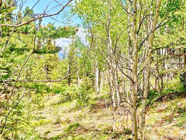 224 Apache Trail Como, CO 80456