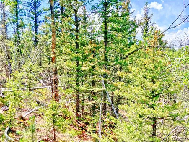 224 Apache Trail Como, CO 80456