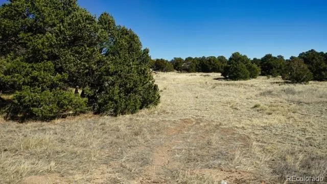 127 Navajo Ranch Resorts Walsenburg, CO 81089