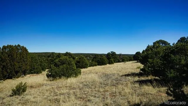 127 Navajo Ranch Resorts Walsenburg, CO 81089