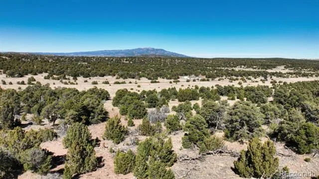 127 Navajo Ranch Resorts Walsenburg, CO 81089