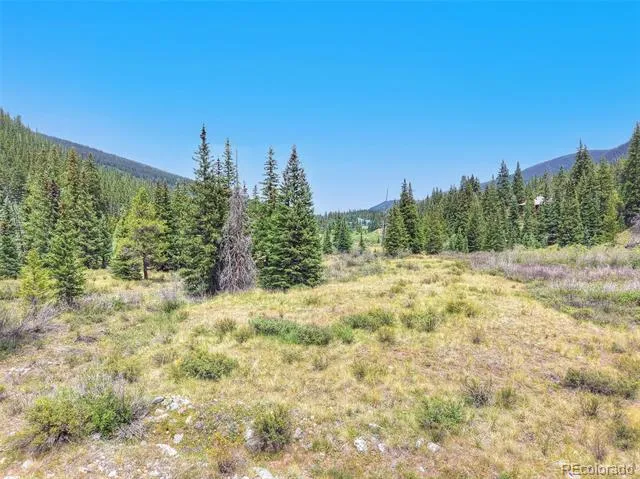67 Quandary Road Breckenridge, CO 80424