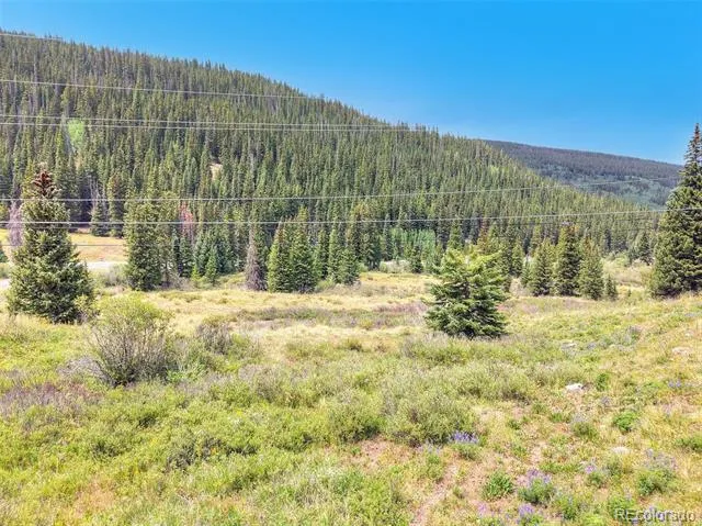 67 Quandary Road Breckenridge, CO 80424