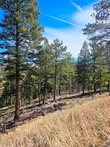 14794 Wetterhorn Peak Trail Pine, CO 80470