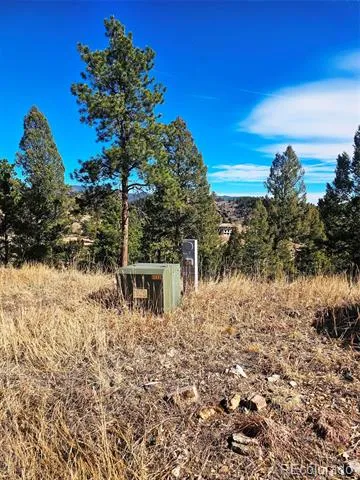 14794 Wetterhorn Peak Trail Pine, CO 80470