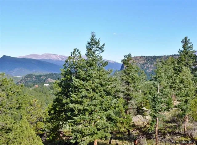14794 Wetterhorn Peak Trail Pine, CO 80470