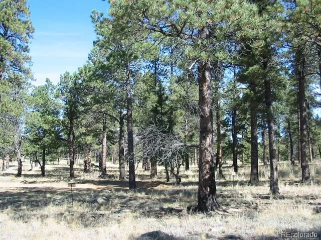 14794 Wetterhorn Peak Trail Pine, CO 80470