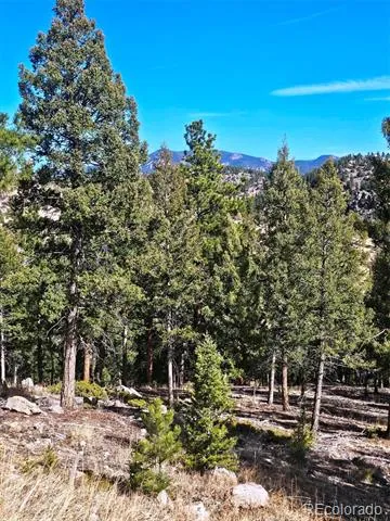 14794 Wetterhorn Peak Trail Pine, CO 80470