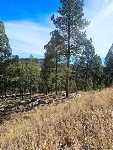 14794 Wetterhorn Peak Trail Pine, CO 80470