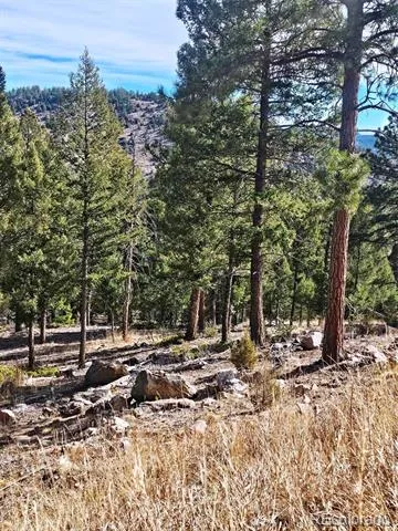 14794 Wetterhorn Peak Trail Pine, CO 80470