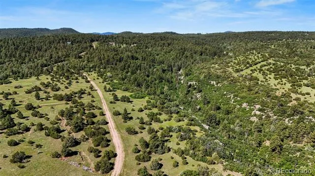 Old Homestead Lane Beulah, CO 81023