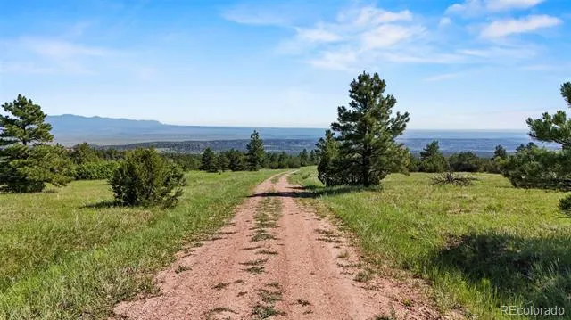 Old Homestead Lane Beulah, CO 81023
