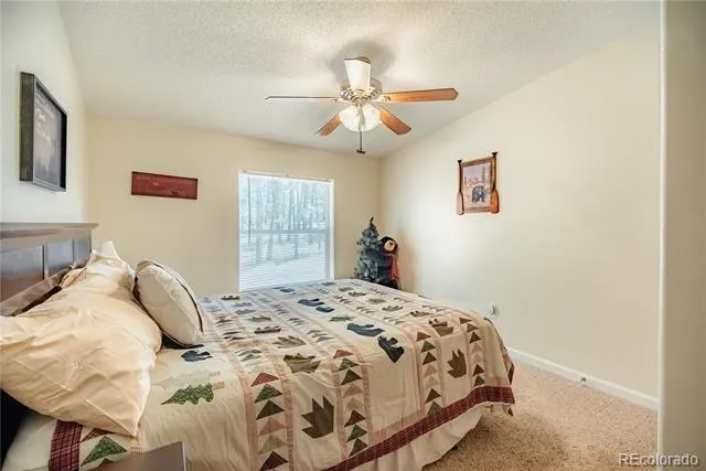 2675 Pikes Peak Drive Florissant, CO 80816