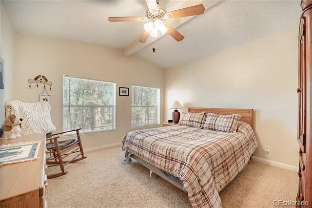 2675 Pikes Peak Drive Florissant, CO 80816
