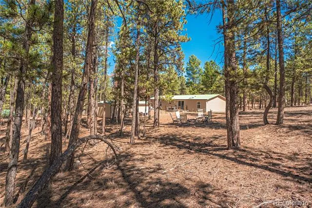 2675 Pikes Peak Drive Florissant, CO 80816