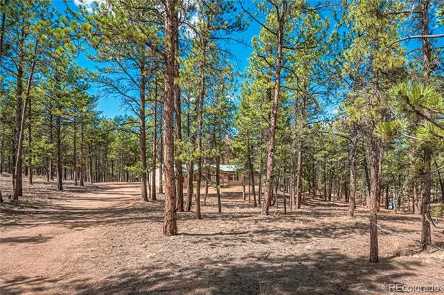 2675 Pikes Peak Drive Florissant, CO 80816