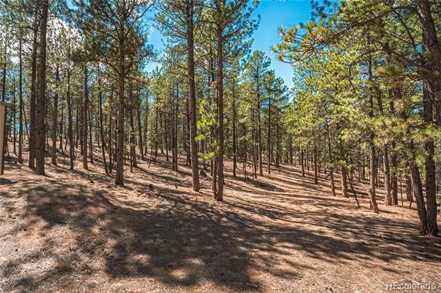 2675 Pikes Peak Drive Florissant, CO 80816