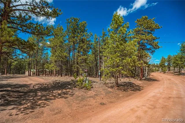 2675 Pikes Peak Drive Florissant, CO 80816