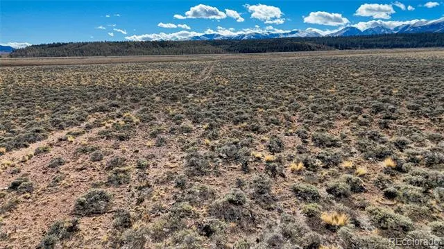 15 County Road 10 Leadville, CO 80461