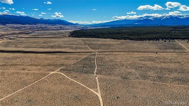 15 County Road 10 Leadville, CO 80461