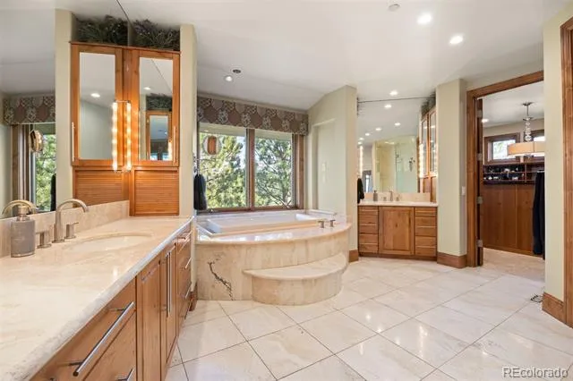 1048 Vintage Place Castle Rock, CO 80108