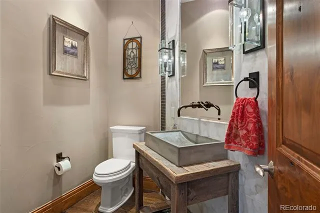 1048 Vintage Place Castle Rock, CO 80108