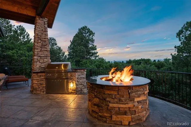 1048 Vintage Place Castle Rock, CO 80108