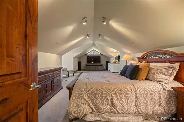 1048 Vintage Place Castle Rock, CO 80108