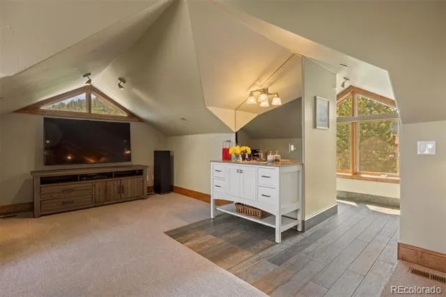 1048 Vintage Place Castle Rock, CO 80108