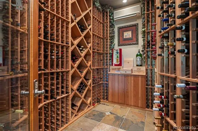 1048 Vintage Place Castle Rock, CO 80108
