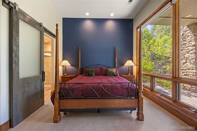 1048 Vintage Place Castle Rock, CO 80108