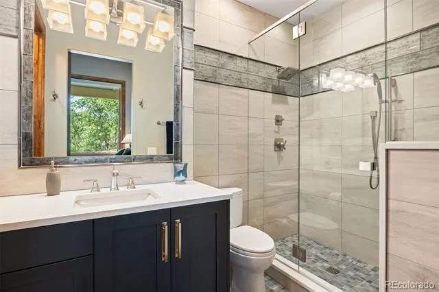 1048 Vintage Place Castle Rock, CO 80108