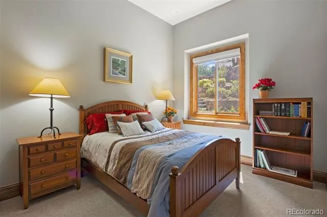 1048 Vintage Place Castle Rock, CO 80108