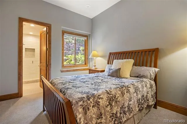 1048 Vintage Place Castle Rock, CO 80108