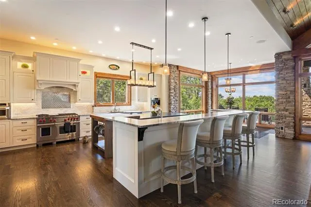 1048 Vintage Place Castle Rock, CO 80108