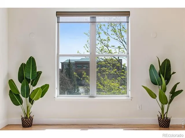 204 Maple Street #208 Fort Collins, CO 80521