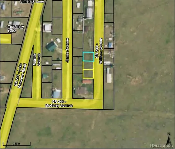 35 Williams Avenue Westcliffe, CO 81252