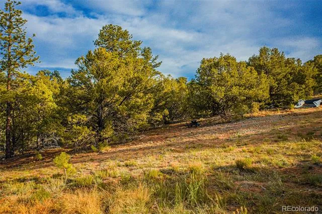 Address Not Shown Gardner, CO 81040